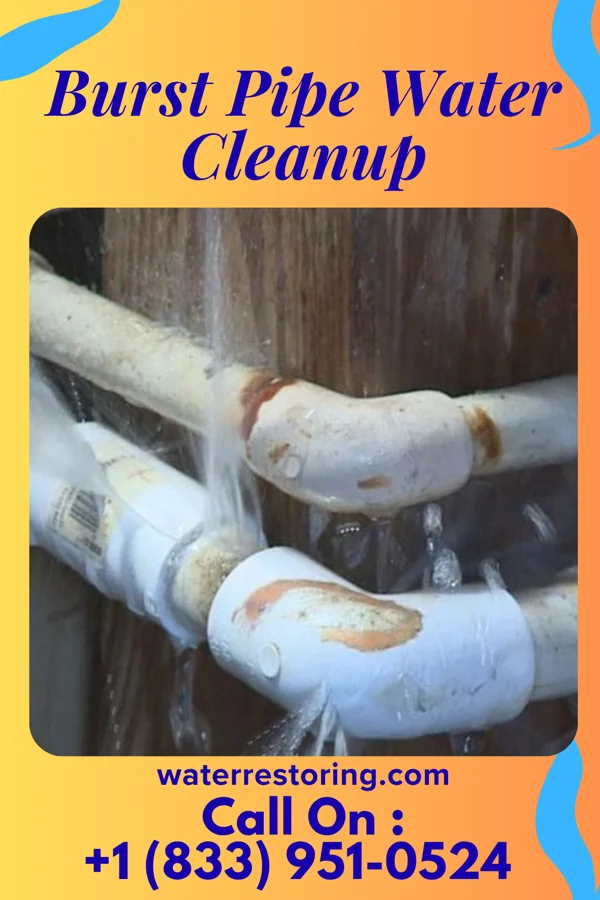 Burst Pipe Water Cleanup in Newton, KS
