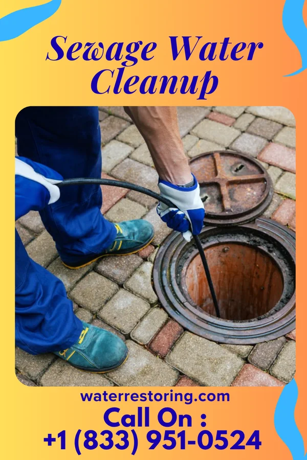 Sewage Water Cleanup in Newton, KS